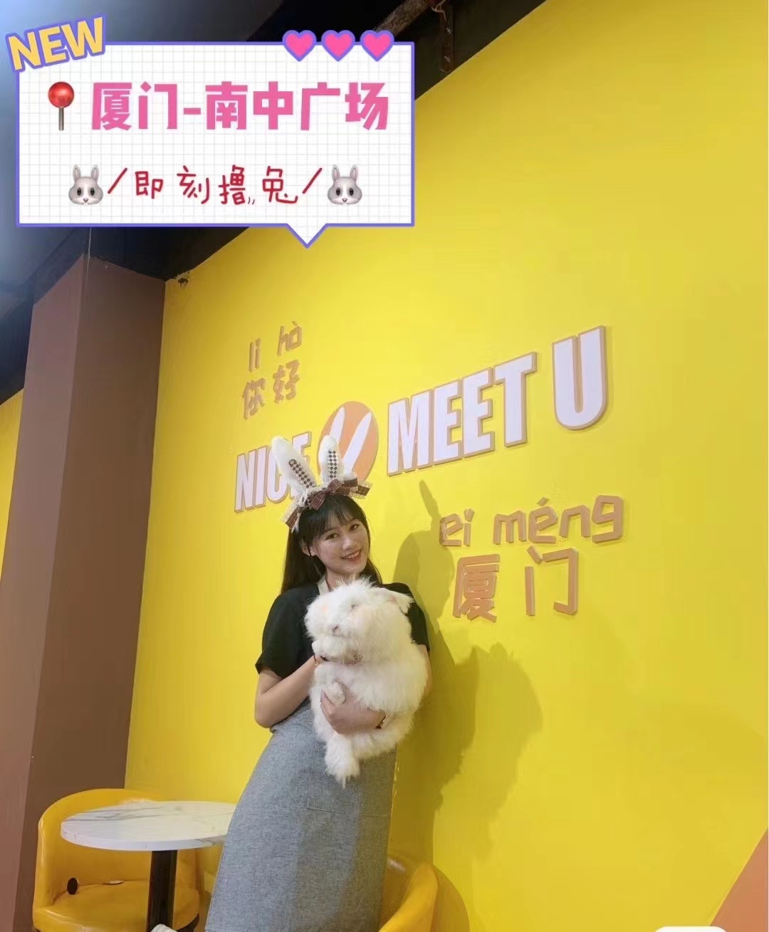 養殖長毛兔其實沒有想象的那么難!